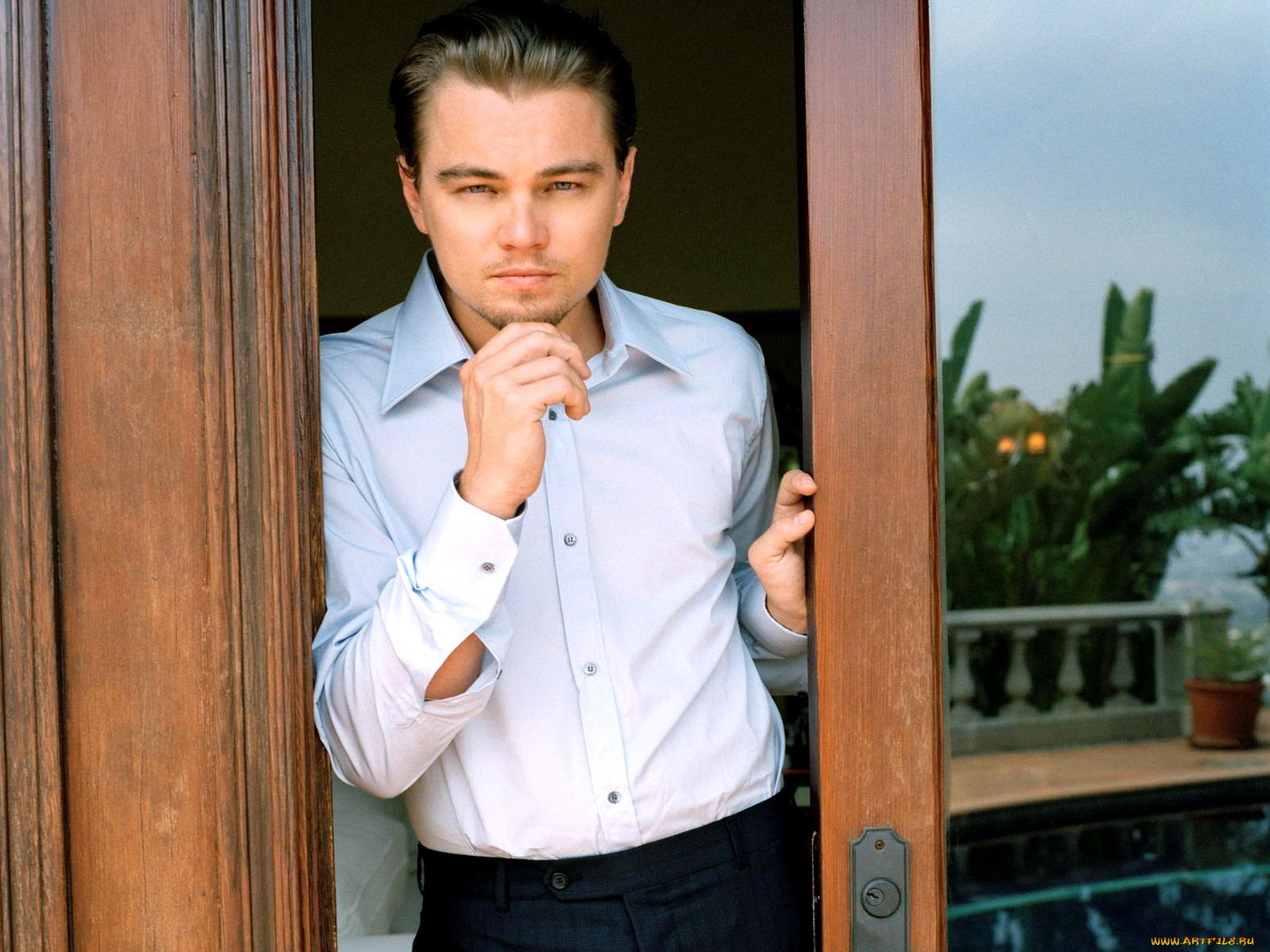 leonardo, dicaprio, 